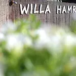Bed & Breakfast Hamry Poronin